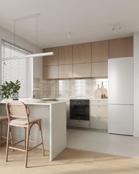 COCINA CONCEPTOSHOP10_1